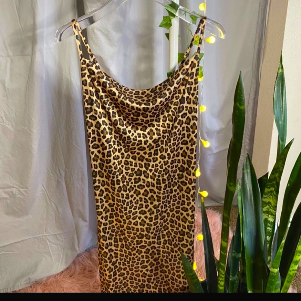 On thee Prowl with a Cowl! 🐆
